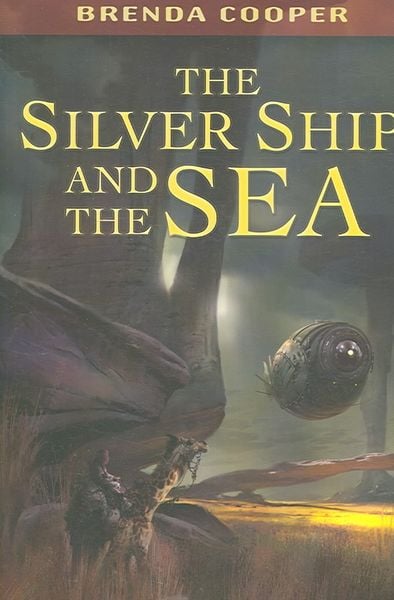 Produktbild: The Silver Ship and the Sea