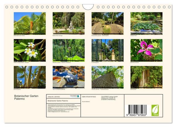 Produktbild: Botanischer Garten Palermo (Wandkalender 2026 DIN A4 quer), CALVENDO Monatskalender
