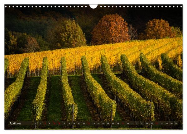 Produktbild: Wein - Landschaften (Wandkalender 2026 DIN A3 quer), CALVENDO Monatskalender