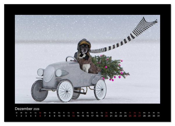 Produktbild: Jack Russell Terrier.....Ein Verwandlungsk&uuml;nstler namens Jake (hochwertiger Premium Wandkalender 2026 DIN A2 quer), Kunstdruck in Hochglanz