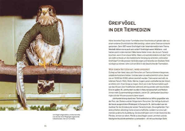 Produktbild: Nachmittags regnet es Bussarde