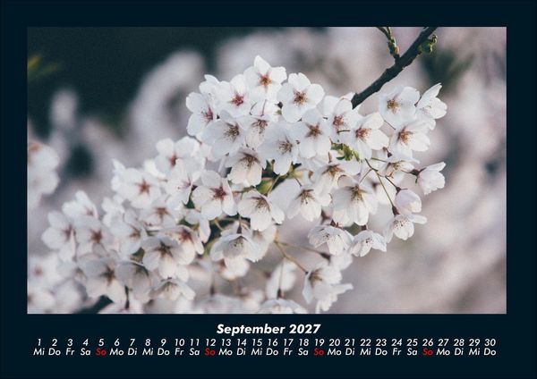 Produktbild: Blumenkalender 2027 Fotokalender DIN A4