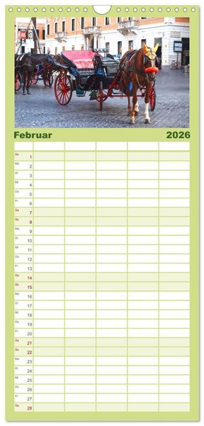 Produktbild: Familienplaner 2026 - In Liebe Dein Rom mit 5 Spalten (Wandkalender, 21 x 45 cm) CALVENDO