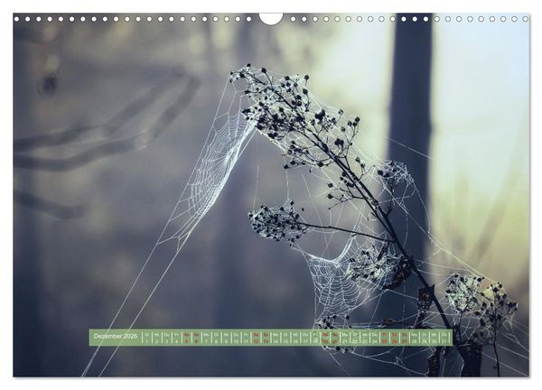 Produktbild: Zauber des Lichts (Wandkalender 2026 DIN A3 quer), CALVENDO Monatskalender