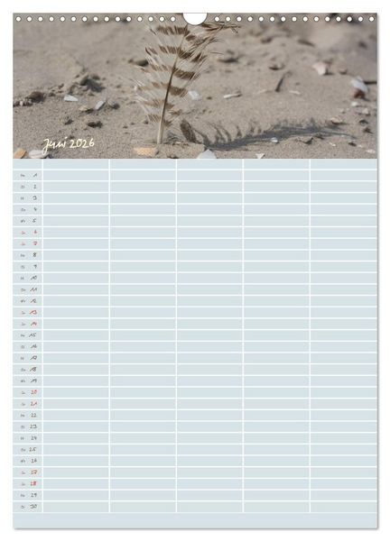 Produktbild: Kleine Sand-Sch&ouml;nheiten / Familienplaner (Wandkalender 2026 DIN A3 hoch), CALVENDO Monatskalender