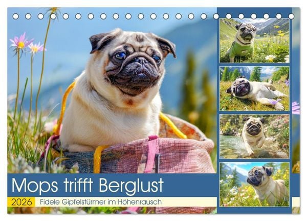 Produktbild: Mops trifft Berglust. Fidele Gipfelst&uuml;rmer im H&ouml;henrausch (Tischkalender 2026 DIN A5 quer), CALVENDO Monatskalender