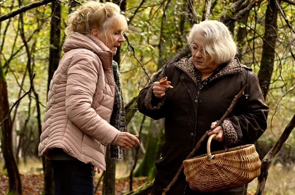 Produktbild: Wenn der Herbst naht