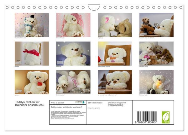 Produktbild: Teddys, wollen wir Kalender anschauen? (Wandkalender 2026 DIN A4 quer), CALVENDO Monatskalender