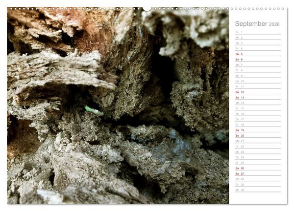 Produktbild: Abstrakte Umwelt (Wandkalender 2026 DIN A2 quer), CALVENDO Monatskalender