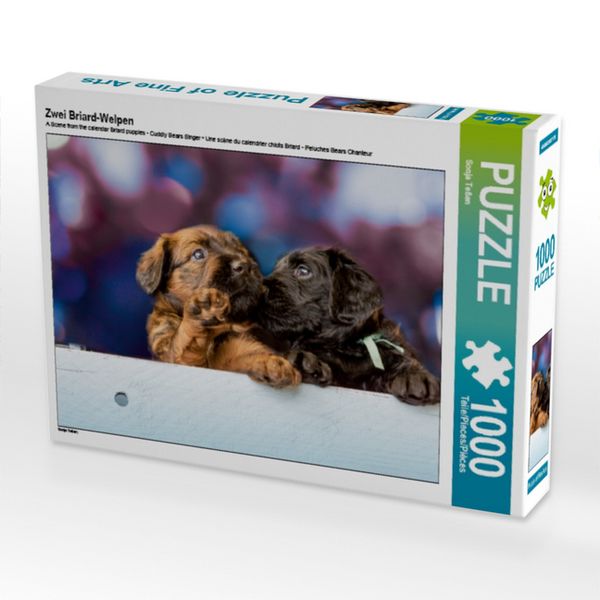 Produktbild: CALVENDO Puzzle Zwei Briard-Welpen | 1000 Teile Lege-Gr&ouml;&szlig;e 64x48cm Foto-Puzzle f&uuml;r gl&uuml;ckliche Stunden