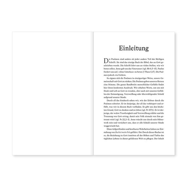 Produktbild: Du bist mein Fels