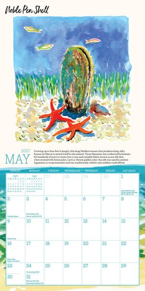 Produktbild: Searching for Seashells Mini Wall Calendar 2027
