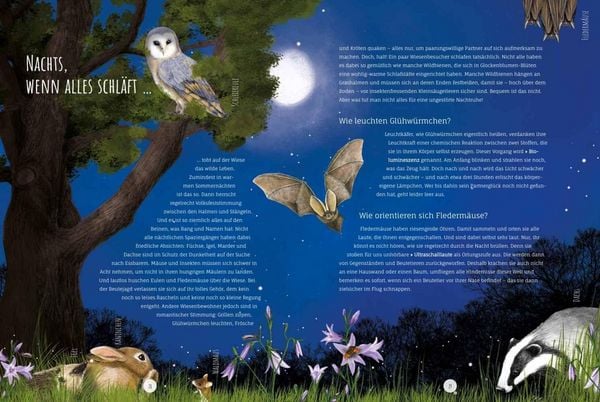 Produktbild: Die Wildwiese
