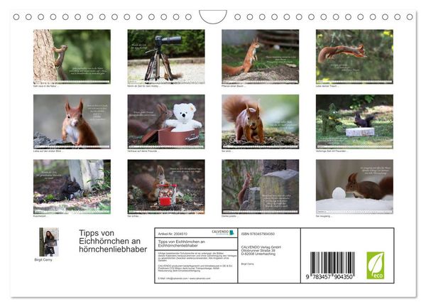 Produktbild: Tipps von Eichh&ouml;rnchen an Eichh&ouml;rnchenliebhaber (Wandkalender 2026 DIN A4 quer), CALVENDO Monatskalender
