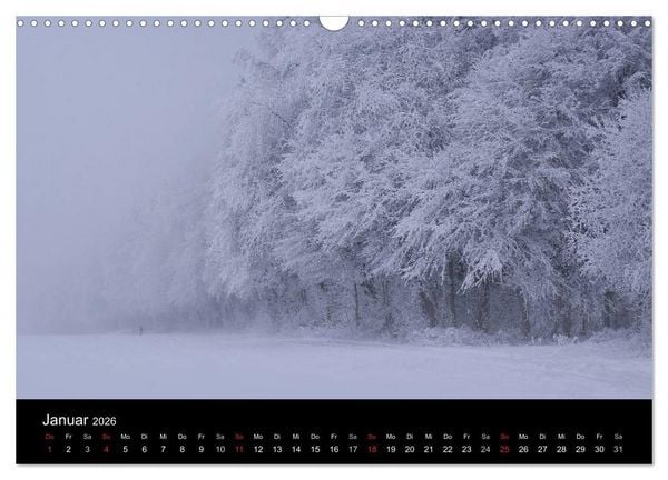Produktbild: Mysterium Wald (Wandkalender 2026 DIN A3 quer), CALVENDO Monatskalender