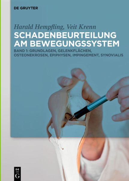 Produktbild: Grundlagen, Gelenkfl&auml;chen, Osteonekrosen, Epiphysen, Impingement, Synovialis