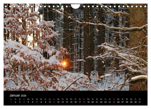 Produktbild: Meine Heimat Westerwald (Wandkalender 2026 DIN A4 quer), CALVENDO Monatskalender
