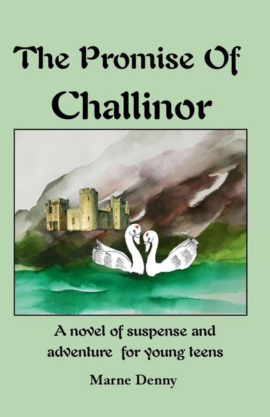 Produktbild: The Promise Of Challinor