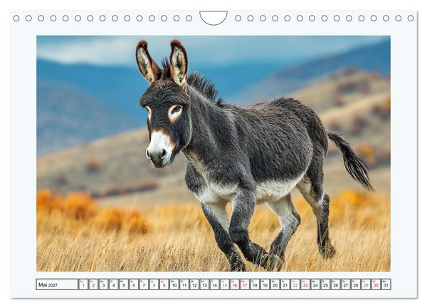 Produktbild: Sanfte Eselpoesie. Momente zwischen Bergwelt und Meer (Wandkalender 2027 DIN A4 quer), CALVENDO Monatskalender