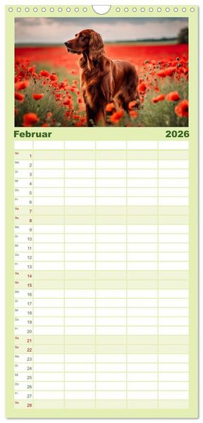 Produktbild: Familienplaner 2026 - Irish Setter - Anmut pur mit 5 Spalten (Wandkalender, 21 x 45 cm) CALVENDO