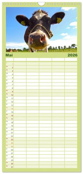Produktbild: Familienplaner 2026 - Die Kuh macht Muuuh! mit 5 Spalten (Wandkalender, 21 x 45 cm) CALVENDO