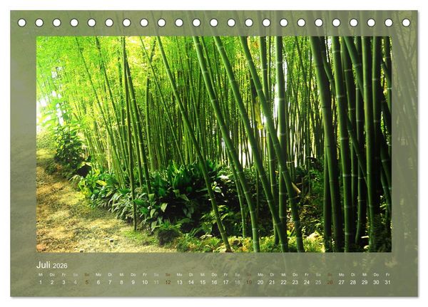 Produktbild: Bambus (Tischkalender 2026 DIN A5 quer), CALVENDO Monatskalender
