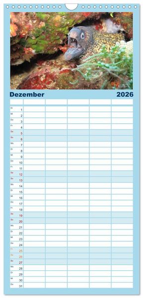 Produktbild: Familienplaner 2026 - Fische und Meerestiere mit 5 Spalten (Wandkalender, 21 x 45 cm) CALVENDO