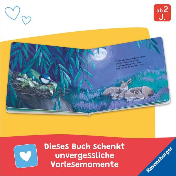 Produktbild: Wenn der Mond ein Nachtlied singt