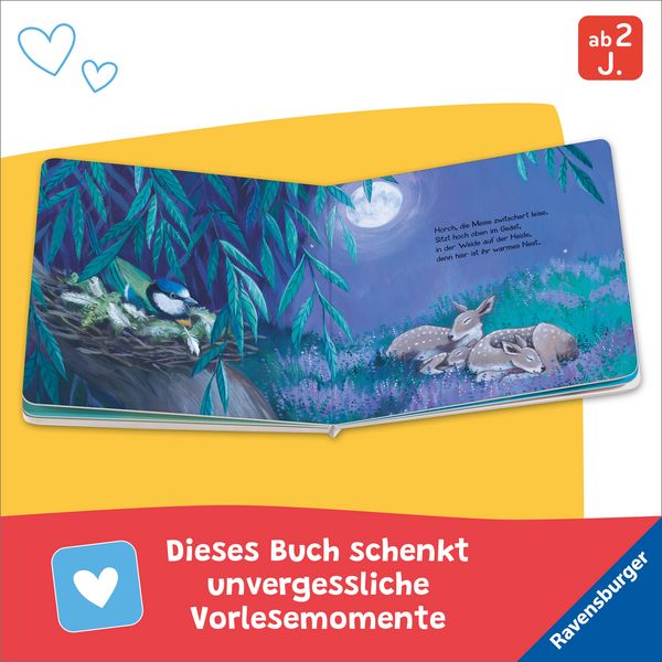 Produktbild: Wenn der Mond ein Nachtlied singt