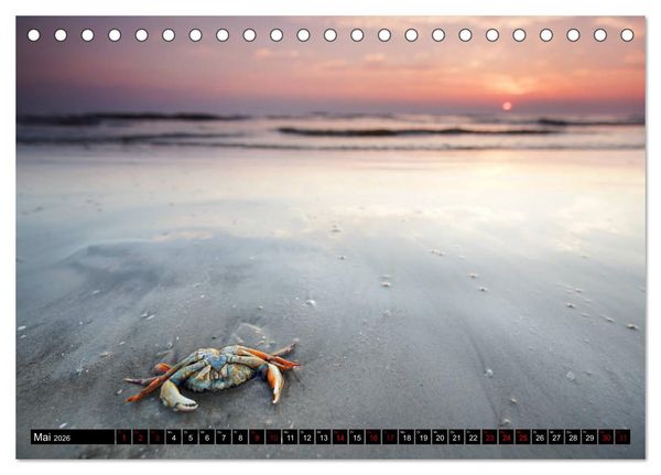 Produktbild: Sankt Peter Ording Sandstrand (Tischkalender 2026 DIN A5 quer), CALVENDO Monatskalender