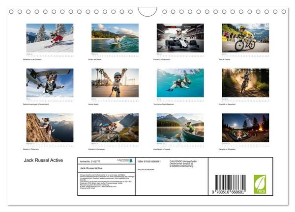 Produktbild: Jack Russel Active (Wandkalender 2026 DIN A4 quer), CALVENDO Monatskalender