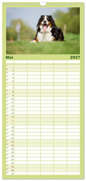 Produktbild: Familienplaner 2027 - Berner Sennenhunde mit 5 Spalten (Wandkalender, 21 x 45 cm) CALVENDO