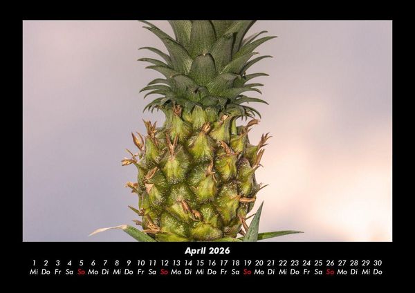 Produktbild: Obstkalender 2026 Fotokalender DIN A3
