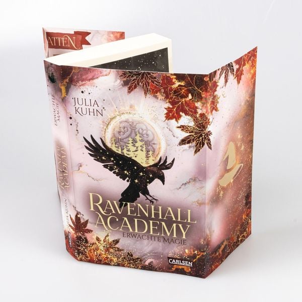 Produktbild: Ravenhall Academy 2: Erwachte Magie