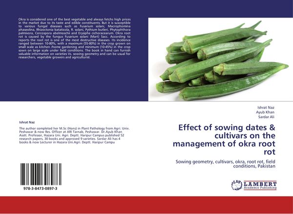Produktbild: Effect of sowing dates & cultivars on the management of okra root rot