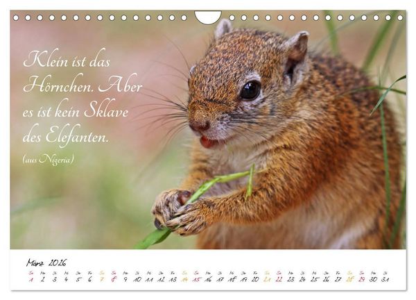 Produktbild: AFRIKA - Kontinent der Poesie (Wandkalender 2026 DIN A4 quer), CALVENDO Monatskalender