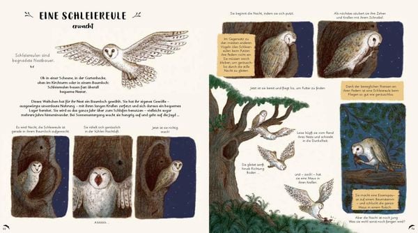 Produktbild: Wunder der Natur zum Innehalten und Staunen