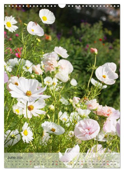 Produktbild: Garden Bliss (Wall Calendar 2026 DIN A3 portrait), CALVENDO 12 Month Wall Calendar