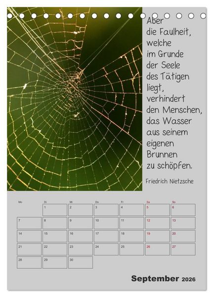 Produktbild: Motivationshilfe (Tischkalender 2026 DIN A5 hoch), CALVENDO Monatskalender
