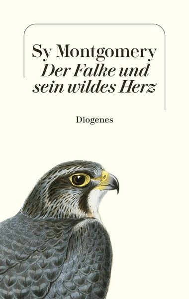 Produktbild: Der Falke und sein wildes Herz