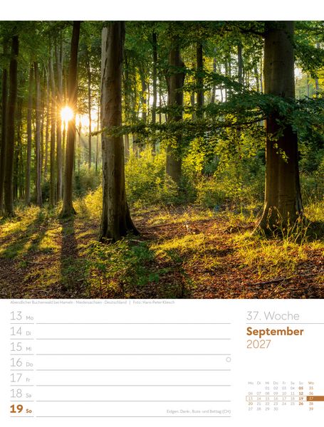Produktbild: Unser Wald Wochenplaner Kalender 2027