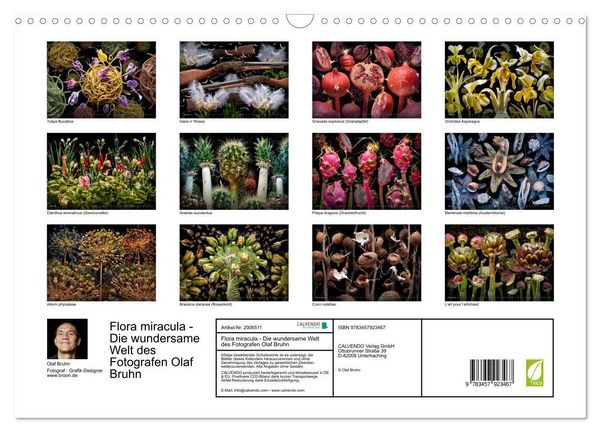 Produktbild: Flora miracula - Die wundersame Welt des Fotografen Olaf Bruhn (Wandkalender 2026 DIN A3 quer), CALVENDO Monatskalender