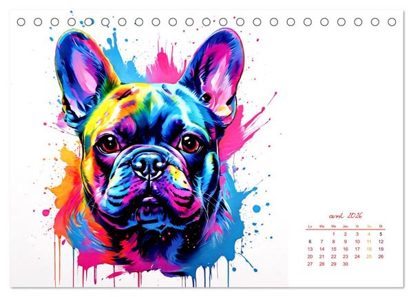 Produktbild: Show canin (Calendrier de bureau 2026 DIN A5 vertical), CALVENDO calendrier mensuel