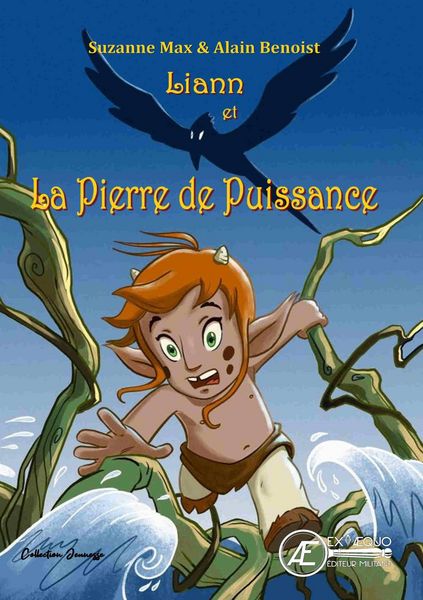 Produktbild: Liann et la pierre de puissance
