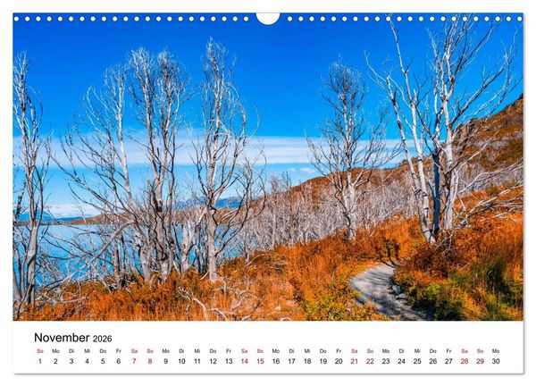 Produktbild: W&auml;lder: die letzte Zuflucht f&uuml;r die Wildnis (Wandkalender 2026 DIN A3 quer), CALVENDO Monatskalender