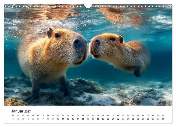 Produktbild: Capybara - die Ruhe als Lebensform (Wandkalender 2027 DIN A3 quer), CALVENDO Monatskalender
