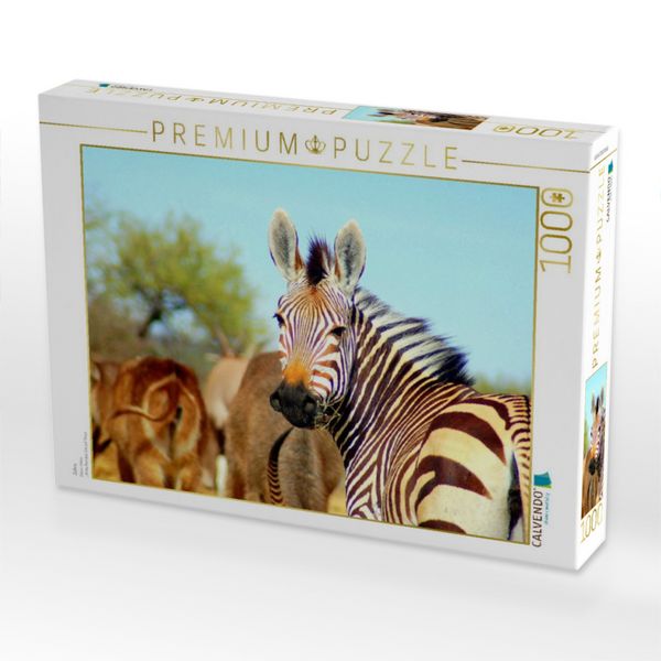 Produktbild: CALVENDO Puzzle Zebra | 1000 Teile Lege-Gr&ouml;&szlig;e 64x48cm Foto-Puzzle f&uuml;r gl&uuml;ckliche Stunden