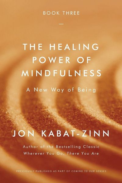 Produktbild: The Healing Power of Mindfulness