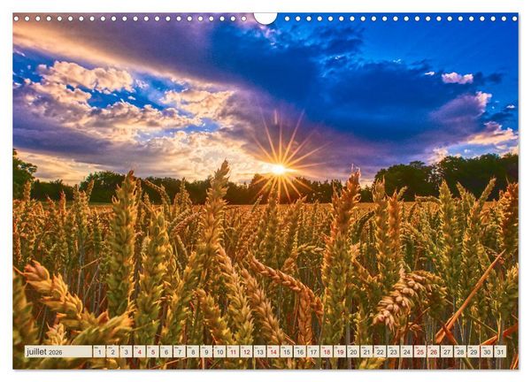 Produktbild: L'Allemagne, tes paysages (Calendrier mural 2026 DIN A3 vertical), CALVENDO calendrier mensuel