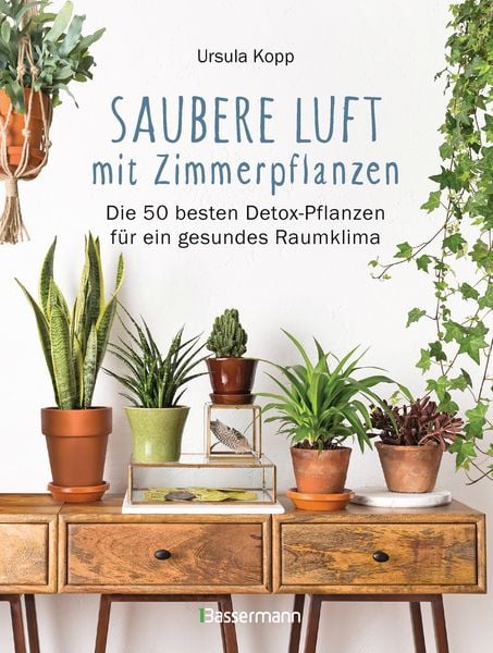 Produktbild: Saubere Luft mit Zimmerpflanzen